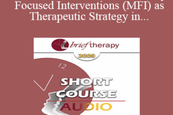 [Audio Only] BT08 Short Course 35 - Brief Therapy Approaches to Treating Anxious Children - Lynn Lyons
