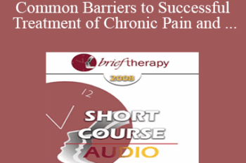 [Audio Only] BT08 Short Course 36 - Ten Common Barriers to Successful Treatment of Chronic Pain and Brief Interventions to Resolve Them - Maggie Phillips