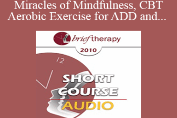 [Audio] BT10 Short Course 24 - The Miracles of Mindfulness