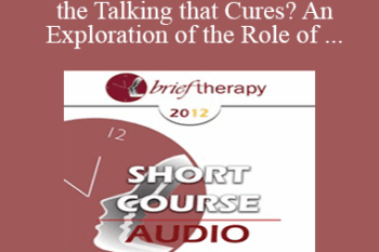 [Audio] BT12 Short Course 47 - Is it the Talking that Cures? An Exploration of the Role of Silence and Words in the Clinical Encounter - Susan Pinco