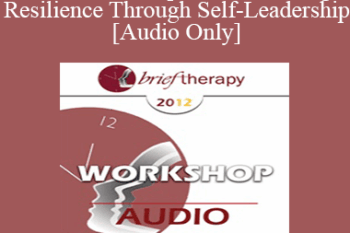 [Audio] BT12 Workshop 18 - Enhancing Resilience Through Self-Leadership - Robert Dilts