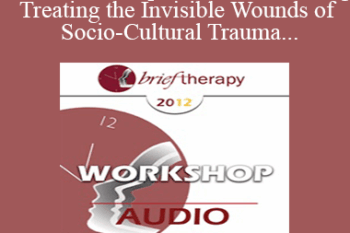 [Audio] BT12 Workshop 23 - Understanding & Treating the Invisible Wounds of Socio-Cultural Trauma - Kenneth Hardy
