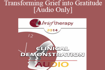 [Audio] BT14 Clinical Demonstration 02 - Transforming Grief into Gratitude - Steve Andreas