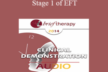 [Audio] BT14 Clinical Demonstration 03 - Stage 1 of EFT: The Process of De-Escalation - Sue Johnson