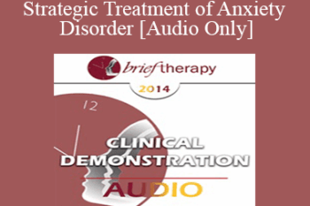 [Audio] BT14 Clinical Demonstration 08 - Strategic Treatment of Anxiety Disorder - Reid Wilson