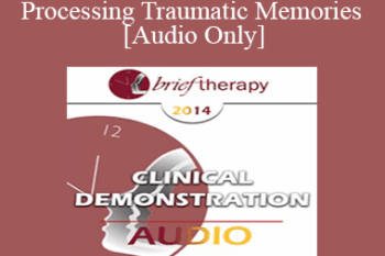 [Audio] BT14 Clinical Demonstration 09 - Processing Traumatic Memories - Bessel van der Kolk