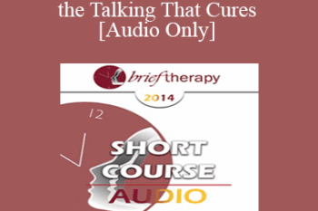 [Audio] BT14 Short Course 01 - Is it the Talking That Cures: Utilizing Silence to Make Therapy More Experiential and Improve Outcomes - Sue Pinco