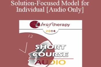 [Audio] BT14 Short Course 08 - A Brief Solution-Focused Model for Individual - Robert Johansen