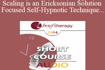 [Audio] BT14 Short Course 09 - Hypnotic Scaling is an Ericksonian Solution Focused Self-Hypnotic Technique That Allows Your Clients to Choose Freely Where to Move on Their Solution Scale - Paul Koeck