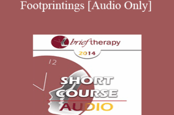 [Audio] BT14 Short Course 12 - Footprintings: Self State Therapy in Three Dimensions - Susan Dowell