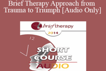 [Audio] BT14 Short Course 21 - New Brief Therapy Approach from Trauma to Triumph - John Lentz
