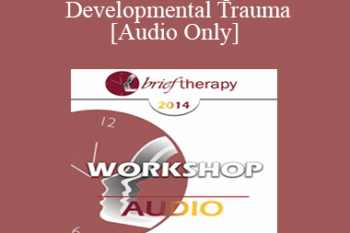 [Audio] BT14 Workshop 06 - Developmental Trauma - Bessel van der Kolk
