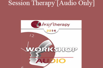 [Audio] BT14 Workshop 12 - Single Session Therapy - Michael Hoyt