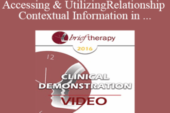 [Audio] BT16 Clinical Demonstration 06 - Accessing & Utilizing Relationship and Contextual Information in Brief Therapy - Wendel Ray