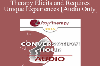 [Audio] BT16 Dialogue 1 - Creative Therapy Elicits and Requires Unique Experiences - Stephen Lankton