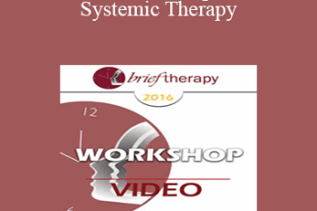 [Audio] BT16 Workshop 28 - Systemic Therapy: Lessons From the Palo Alto Group - Wendel Ray