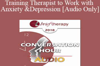 [Audio] BT18 Great Conversation 06 - Training Therapist to Work with Anxiety and Depression - Stephen Gilligan