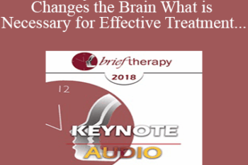 [Audio] BT18 Keynote 02 - If Trauma Changes the Brain What is Necessary for Effective Treatment - Bessel van der Kolk