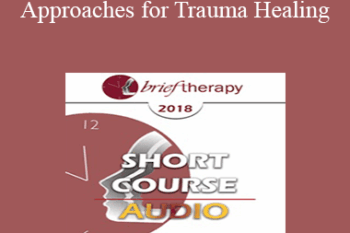 [Audio] BT18 Short Course 01 - Brief Approaches for Trauma Healing: Navigating Chaos