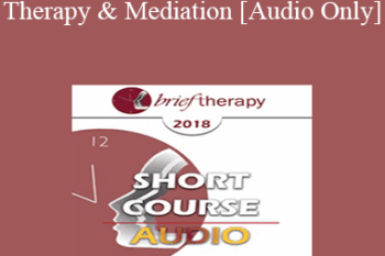 [Audio] BT18 Short Course 19 - Brief Therapy and Mediation - George Ferrick