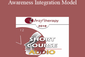 [Audio] BT18 Short Course 28 - Awareness Integration Model: Deep Integrative Psychotherapy - Foojan Zeine