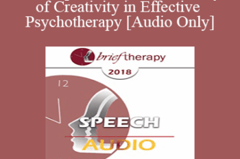 [Audio] BT18 Speech 12 - The Primacy of Creativity in Effective Psychotherapy - Stephen Gilligan