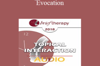 [Audio] BT18 Topical Interaction 04 - Evocation: Why Therapy Can Be Brief - Bill O'Hanlon