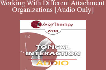 [Audio] BT18 Topical Interaction 13 - Working With Different Attachment Organizations - Stan Tatkin