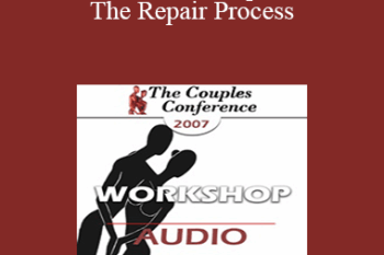 [Audio] CC07 Workshop 06 - The Repair Process: Helping Couples Get Back on Track - Terry Real