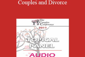 [Audio] CC11 Topical Panel 03 - Couples and Divorce: How Do You Assess When Separation/Divorce Make Sense or Does it? - Lilian Borges
