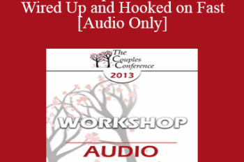 [Audio] CC13 Workshop 15 - SPEEEEEED! Wired Up and Hooked on Fast - Stephanie Brown