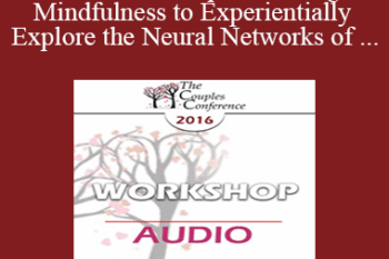 [Audio] CC16 Workshop 03 - Using Mindfulness to Experientially Explore the Neural Networks of Attachment - Rob Fisher