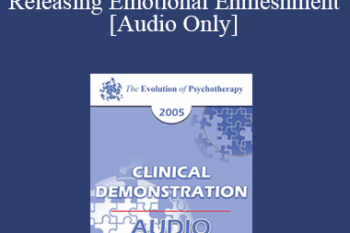 [Audio] EP05 Clinical Demonstration 12 - Releasing Emotional Enmeshment - Robert Dilts