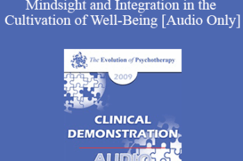 [Audio] EP09 Clinical Demonstration 05 - Mindsight and Integration in the Cultivation of Well-Being - Daniel Siegel