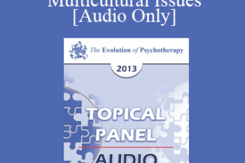 [Audio] EP13 Topical Panel 13 - Multicultural Issues - Robert Dilts