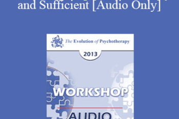 [Audio] EP13 Workshop 07 - Necessary and Sufficient: The Key Elements of Lasting Change in Couple Therapy - Sue Johnson