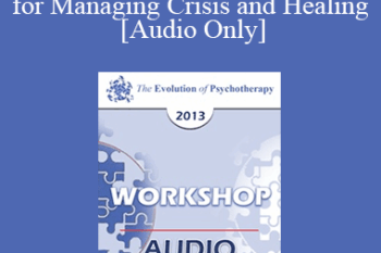 [Audio] EP13 Workshop 16 - The Hero's Journey as a Roadmap for Managing Crisis and Healing - Robert Dilts