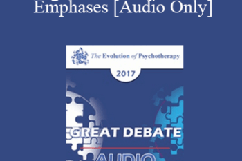 [Audio] EP17 Great Debates 07 - Cognitive vs Experiential Emphases - Stephen Gilligan