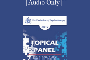 [Audio] EP17 Topical Panel 13 - Humor in Therapy - Stephen Gilligan