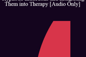 [Audio] IC04 Workshop 25 - Devising an Unlimited Number of Hypnotic Inductions and Integrating Them into Therapy - Sidney Rosen
