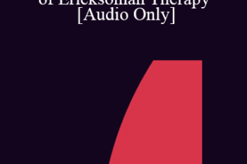 [Audio] IC04 Workshop 64 - Using Hypnosis in the Process of Ericksonian Therapy - Jeffrey Zeig