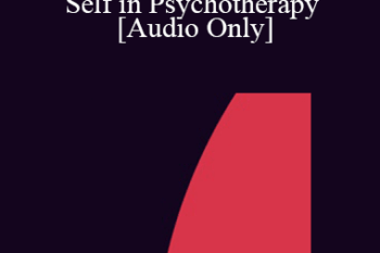 [Audio] IC07 Clinical Demonstration 02 - Connecting with the Inner Self in Psychotherapy - Stephen Gilligan