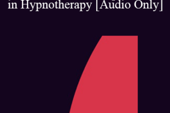 [Audio] IC07 Fundamentals of Hypnosis 06 - The Use of the Therapist’s Self in Hypnotherapy - Stephen Gilligan