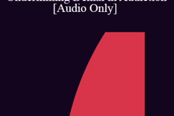 [Audio] IC92 Workshop 55b - Demonstrations IV - Undermining Denial in Addiction - Michael Elkin