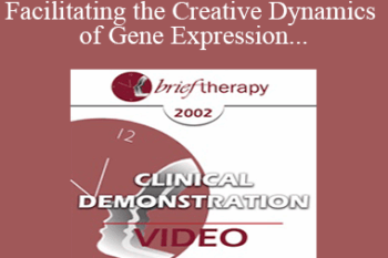 [Audio and Video] BT02 Clinical Demonstration 05 - Facilitating the Creative Dynamics of Gene Expression and Brain Growth - Ernest Rossi