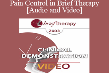 [Audio and Video] BT03 Clinical Demonstration 12 - Pain Control in Brief Therapy - Stephen Lankton