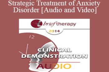 BT14 Clinical Demonstration 08 - Strategic Treatment of Anxiety Disorder - Reid Wilson