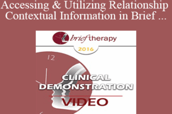 BT16 Clinical Demonstration 06 - Accessing & Utilizing Relationship and Contextual Information in Brief Therapy - Wendel Ray