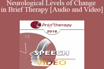 BT18 Speech 07 - Neurological Levels of Change in Brief Therapy - Robert Dilts