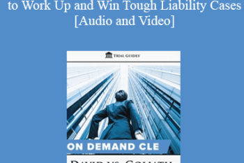 Trial Guides - David vs. Goliath: How to Work Up and Win Tough Liability Cases